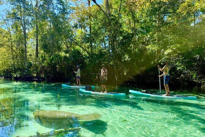 Guided Paddleboard Adventure on Weeki Wachee Springs - Structuring Your Day