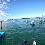 Guided Pedal Kayak Tours in Anna Maria and Bradenton - An In-Depth Look at the Experience