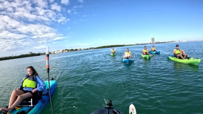 Guided Pedal Kayak Tours in Anna Maria and Bradenton - An In-Depth Look at the Experience