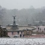 Guided Pedicab Tour in Central Park - What the Tour Covers