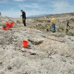 Guided Rock Collecting Tour with a Geologist near Salt Lake City - Authentic Feedback from Participants