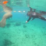 Guided Semi-Private Snorkel Tour (w/ FREE Photos!) - The Practicalities: Comfort, Cost, and Booking