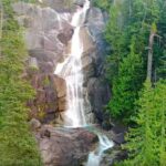 Guided Sightseeing Tour in Vancouver, Shannon Falls and Whistler - Why Travelers Keep Coming Back: Authentic Praise