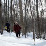 Guided Snowshoe Tour in Mont-Tremblant - The Value of This Tour