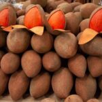 Guided Tasting of 15+ Tropical Fruits in Playa del Carmen - What You Can Expect from the Tour