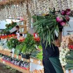 Guided Tour and Tastings at Jean-Talon Market with a Food Writer - What Travelers Are Saying