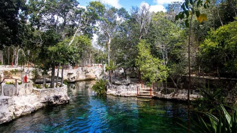 Guided tour of 4 cenotes at Casa Tortugas with transportation and buffet - Does the Price Match the Experience?