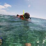 Guided Tour of Puerto Morelos Reefs with Snorkeling Experience - The Snorkeling Experience: Marine Life and Underwater Highlights