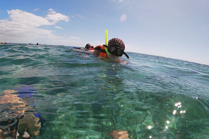 Guided Tour of Puerto Morelos Reefs with Snorkeling Experience - The Snorkeling Experience: Marine Life and Underwater Highlights