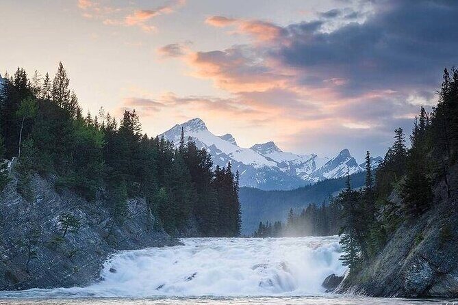 Guided Tour to Banff Highlights & Wildlife With Gondola Admission - Who This Tour Is Perfect For