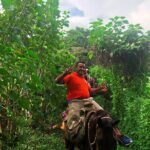 Guided Tour with Horseback Riding and Bioluminescence in Puerto Escondido - Detailed Breakdown of the Itinerary