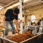 Guided Tour with Tasting in Tequilera Hacienda de Oro - What to Expect During the Tour