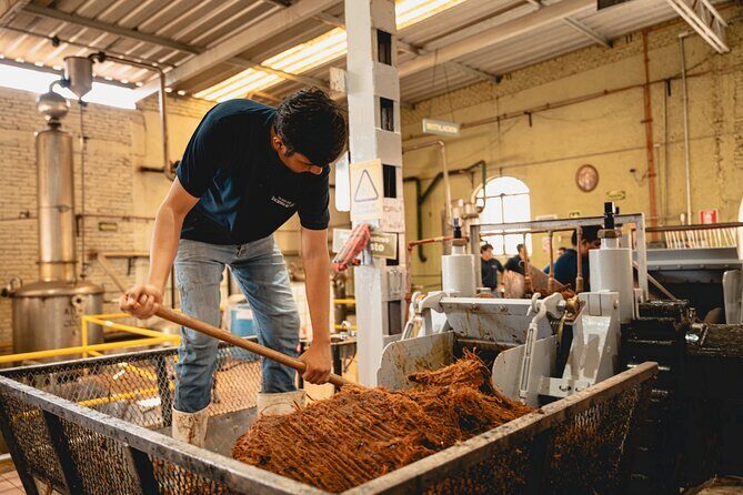 Guided Tour with Tasting in Tequilera Hacienda de Oro - What to Expect During the Tour