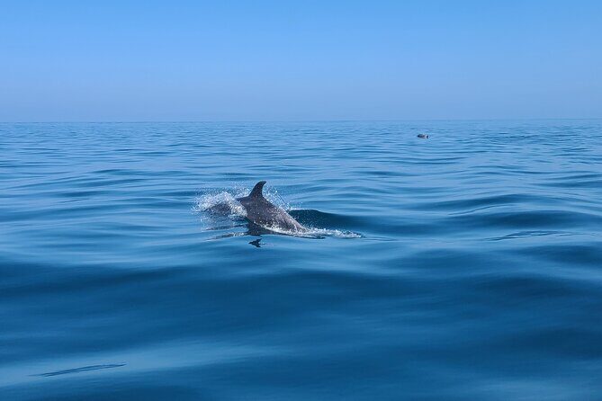 Guided Two hours Jetski Coastal Tour - What the Reviews Say
