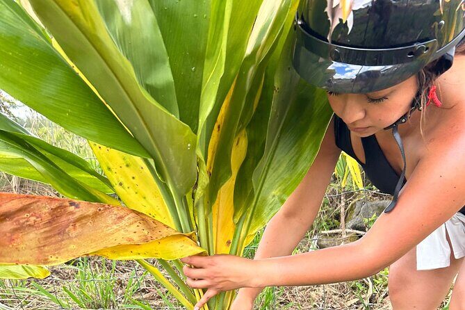 Guided UTV Ride-Along Tour on the Big Island - Why This Tour Offers Good Value