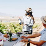 Guided Vineyard Tour with Wine Tasting at Rondo del Valle - Why You Should Consider This Tour
