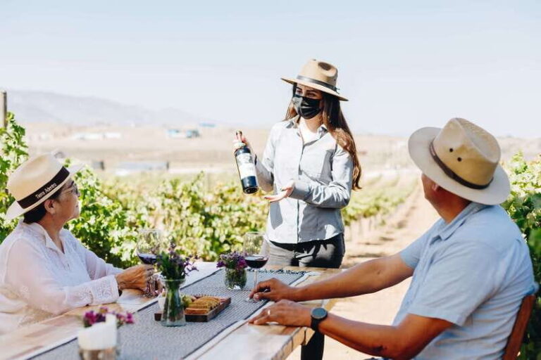Guided Vineyard Tour with Wine Tasting at Rondo del Valle - Why You Should Consider This Tour