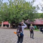 Guided walking tour in the Palenque jungle (Palenque National Park) - The Value of the Experience