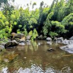 Guided Waterfall and Jungle Hiking Tour - What to Expect During Your Adventure