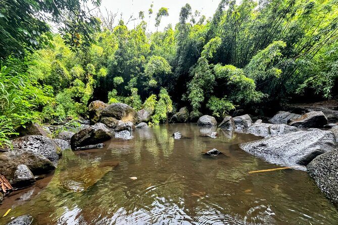 Guided Waterfall and Jungle Hiking Tour - What to Expect During Your Adventure