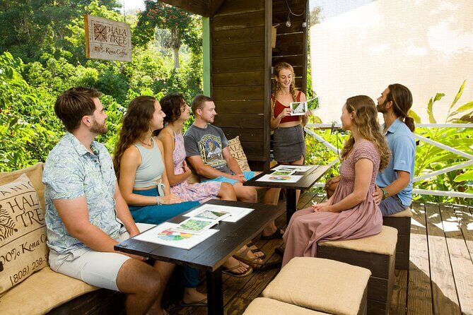 Hala Tree Coffee Farm Tour - Practical Considerations