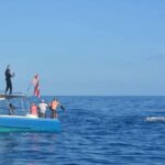 Haleiwa: North Shore Whale Watching Tour by Catamaran - Practical Considerations