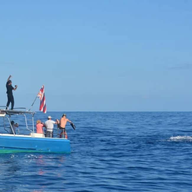 Haleiwa: North Shore Whale Watching Tour by Catamaran - Practical Considerations