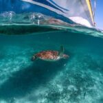 Half a Day Snorkeling with Sea Turtles Encounter and Free time - What Travelers Are Saying