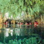 Half Day Cenote Cave and Swimming with Turtles Tour in Akumal - Exploring the Itinerary: What You Can Expect
