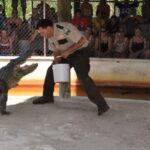 Half-Day Everglades Airboat Tours and Transportation - Final Thoughts