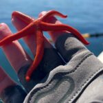 Half Day Family Paddle and Hike - What Past Participants Say