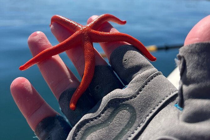 Half Day Family Paddle and Hike - What Past Participants Say