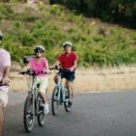 Half Day Guided Electric Bike Wine Tasting Tour with Lunch - Price and Value