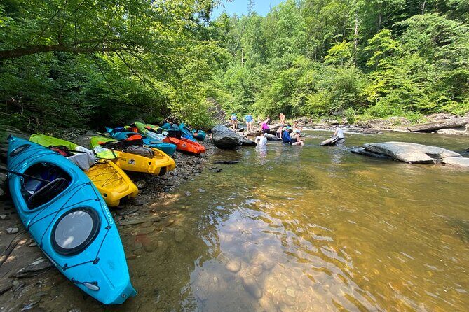 Half-Day Guided Kayaking in the Smoky Mountains of Tallassee - Why this Tour Works