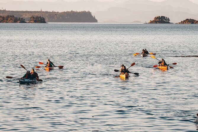Half-Day Guided Sea Kayaking Adventure in Telegraph Cove - What’s Included and What’s Not