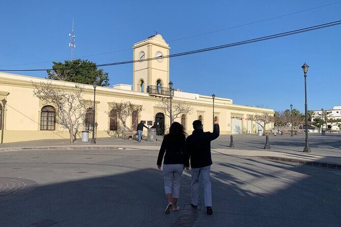 Half-Day Guided Tour in San José del Cabo Art and Beer Tasting - Practical Details and Value