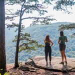 Half Day Hike in New River Gorge National Park & Preserve - Price and Value