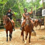 Half Day Horseback Riding Adventure with Cenotes in the Jungle - The Riding Experience