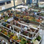 Half-day Manzanillo City Tours - Exploring the Itinerary in Detail