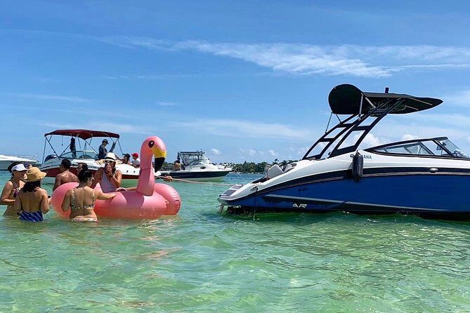 Half-Day Miami River Hop-On Hop-Off Boat Tour with Boat Party - Who Will Love This Tour?