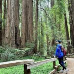 Half-Day Muir Woods & Sausalito Tour with Entry Ticket Included - Final Thoughts on Value and Experience