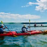 Half-Day Orleans Island Small-Group Sea Kayaking Tour - Summary: Is it Worth It?
