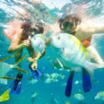 Half-Day Private Snorkel Sailing Adventure in Cabo San Lucas - Food and Drinks