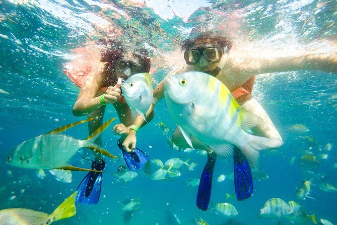Half-Day Private Snorkel Sailing Adventure in Cabo San Lucas - Food and Drinks