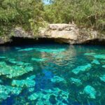 Half Day Private Snorkeling with Turtles and Majestic Cenotes - Detailed Breakdown of the Itinerary