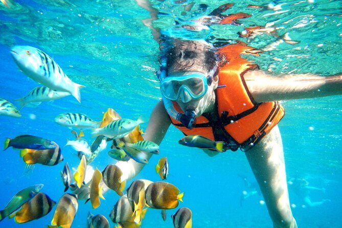 Half-Day Puerto Morelos Snorkeling Experience with Lunch - Real Traveler Insights