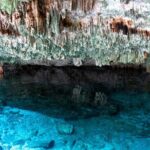 Half Day Rio Secreto Plus Small Group Tour - What Travelers Say