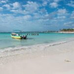 Half-Day Sea Turtle and Cenote Snorkeling Tour from Cancun & Riviera Maya - What To Expect