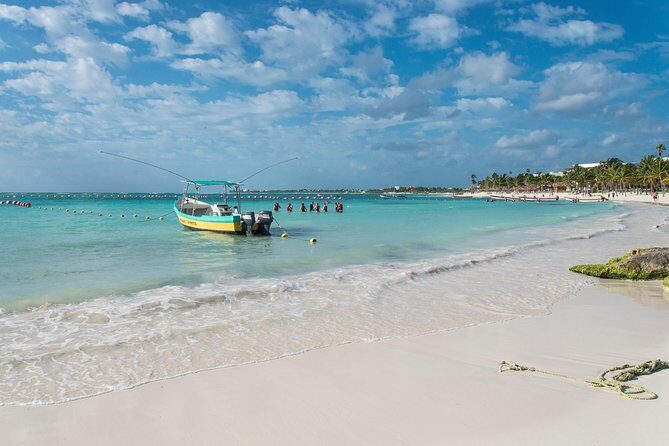 Half-Day Sea Turtle and Cenote Snorkeling Tour from Cancun & Riviera Maya - What To Expect