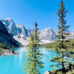 Half Day Shared Adventure to Lake Louise and Moraine Lake - The Value for Your Money